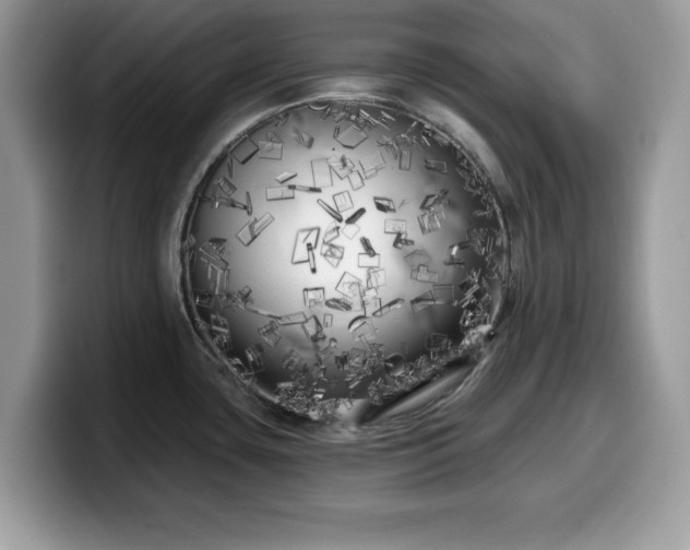 X0000099961435200805301305
