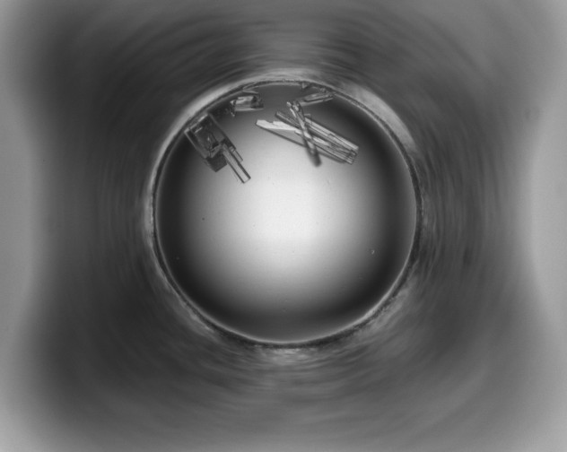 X0000099961436200805301305