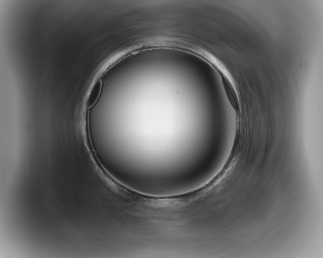 X0000099961437200805301305