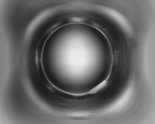 X0000099961438200805301305