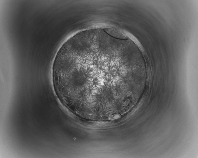 X0000099961439200805301305