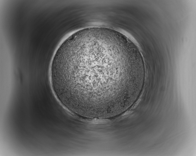 X0000099961440200805301305