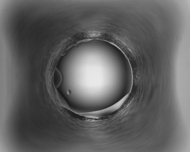 X0000099961441200805301304
