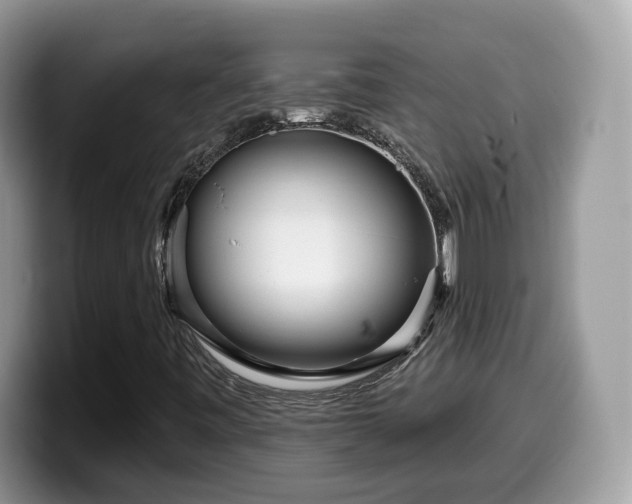 X0000099961443200805301304