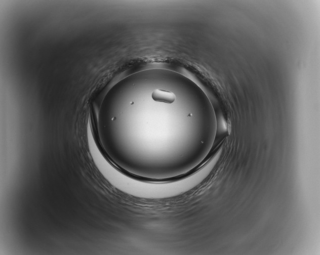 X0000099961444200805301304