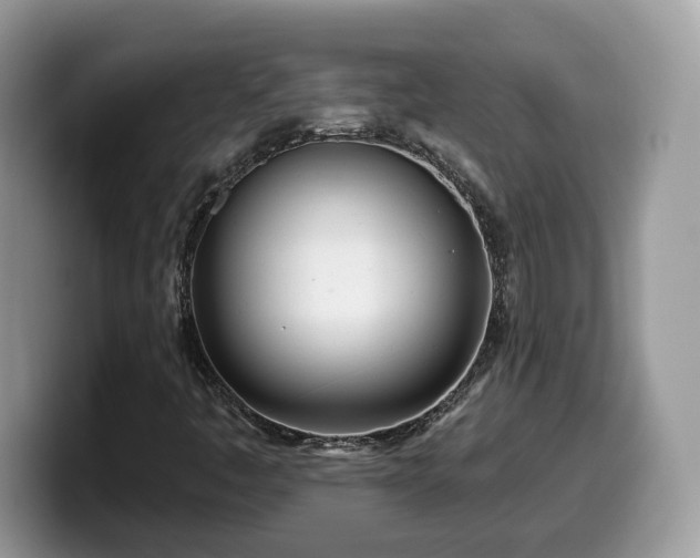 X0000099961445200805301304
