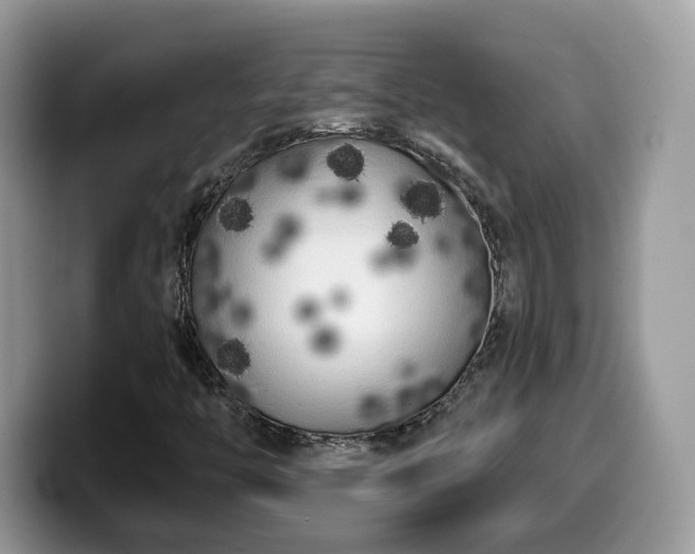 X0000099961446200805301304