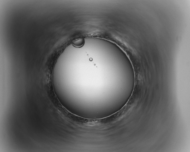 X0000099961447200805301304