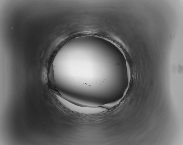 X0000099961448200805301304