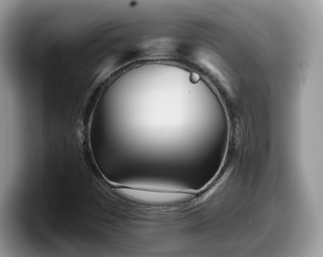 X0000099961449200805301304