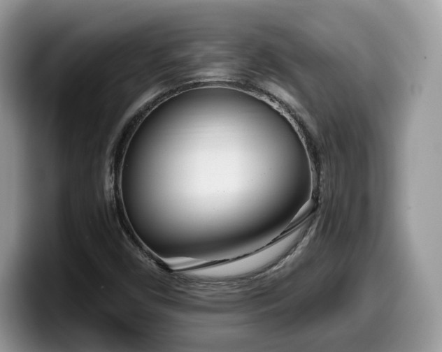 X0000099961450200805301304