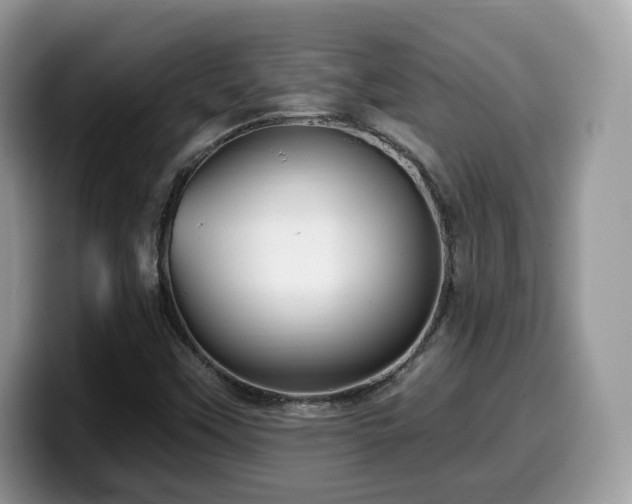 X0000099961451200805301304