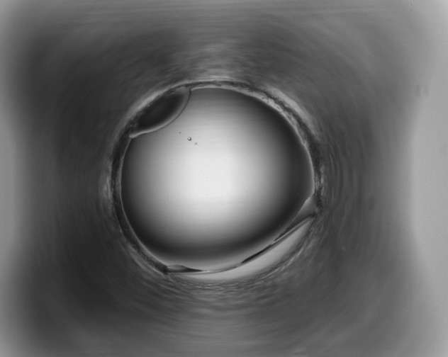 X0000099961452200805301304