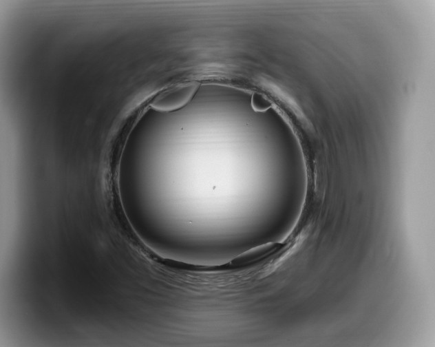 X0000099961453200805301304
