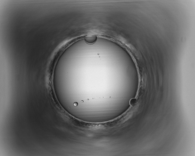X0000099961454200805301304