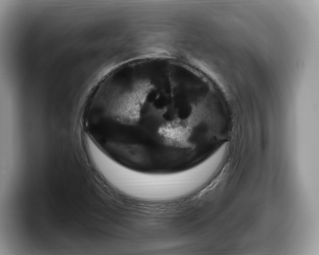 X0000099961455200805301304