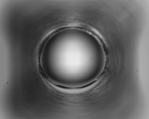 X0000099961456200805301304