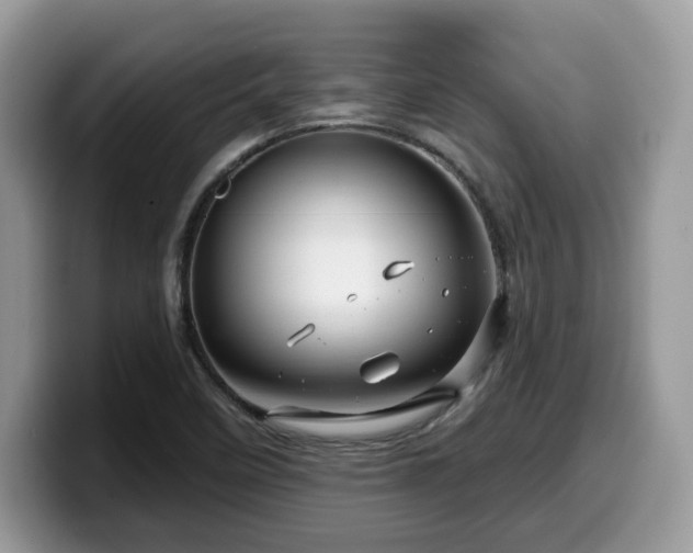 X0000099961458200805301304