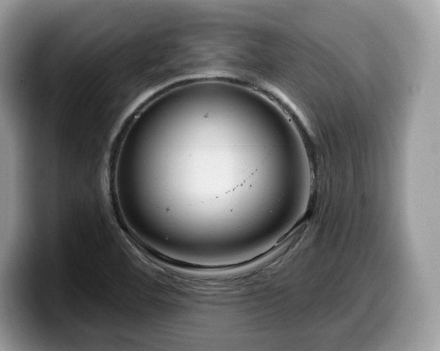 X0000099961460200805301304