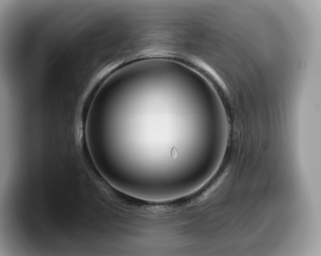 X0000099961461200805301304