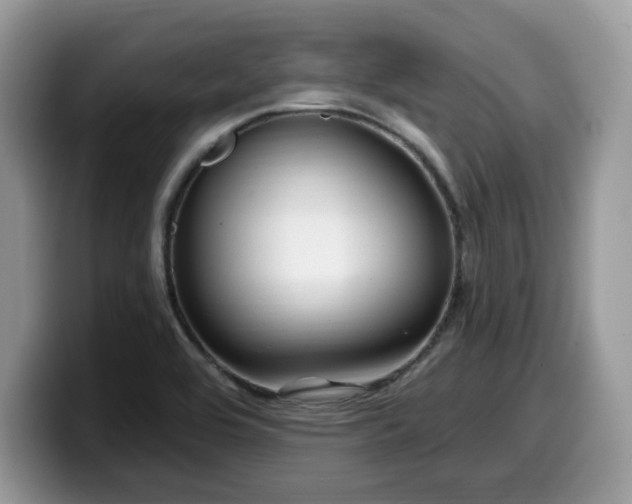 X0000099961464200805301304
