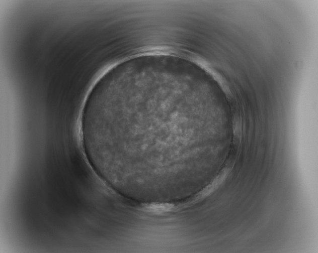 X0000099961466200805301304