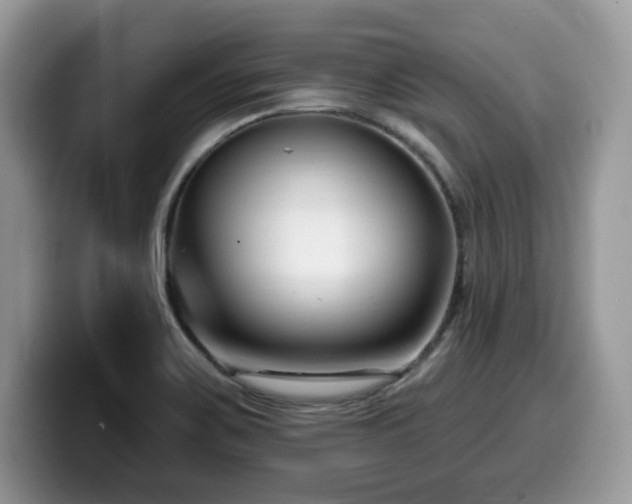 X0000099961467200805301304