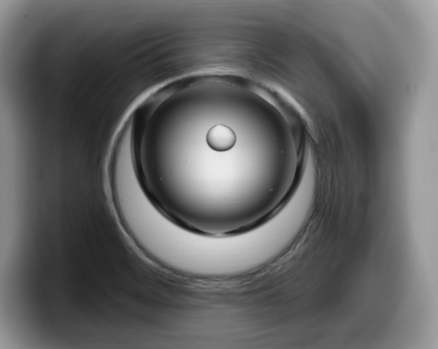 X0000099961468200805301304