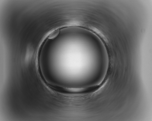 X0000099961469200805301304
