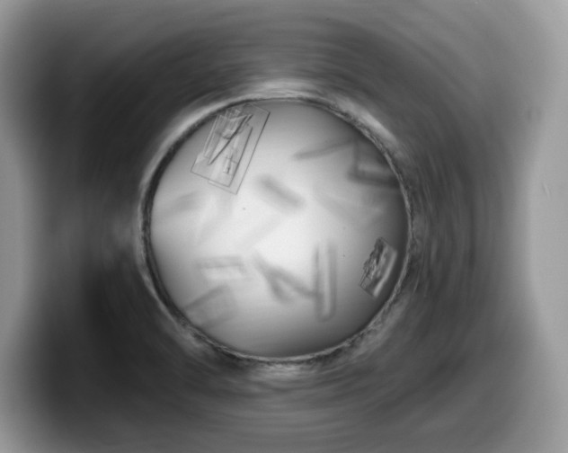 X0000099961470200805301304