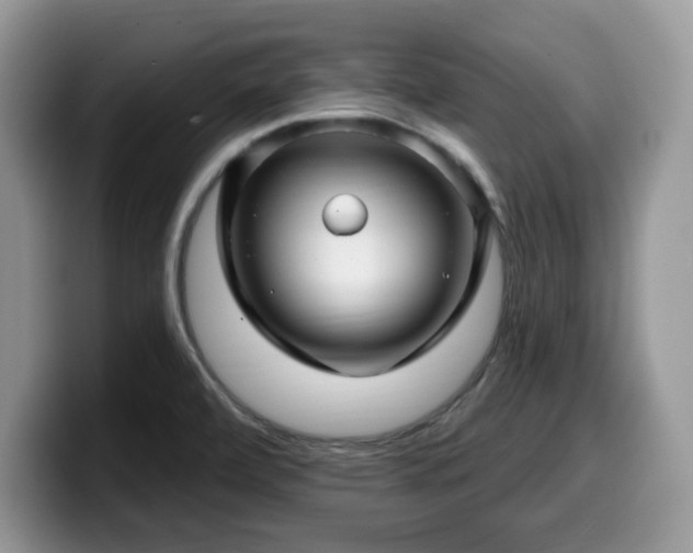 X0000099961472200805301304