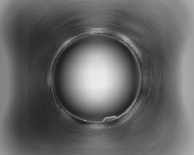 X0000099961473200805301304