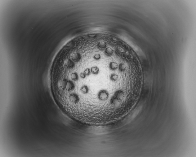 X0000099961474200805301304
