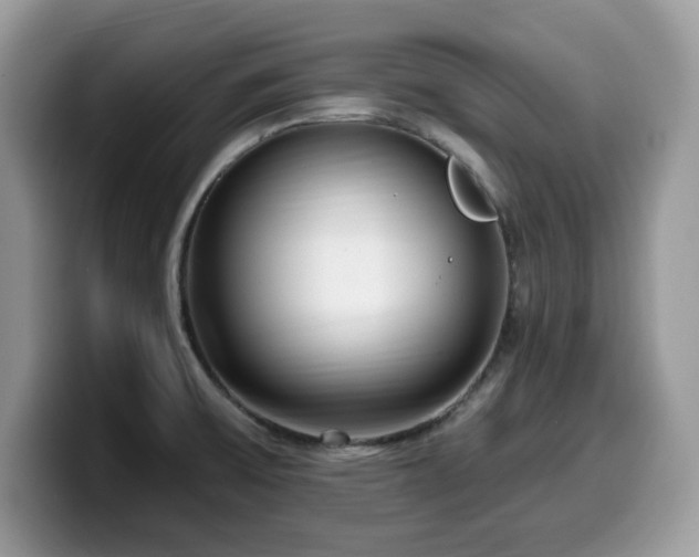 X0000099961475200805301304