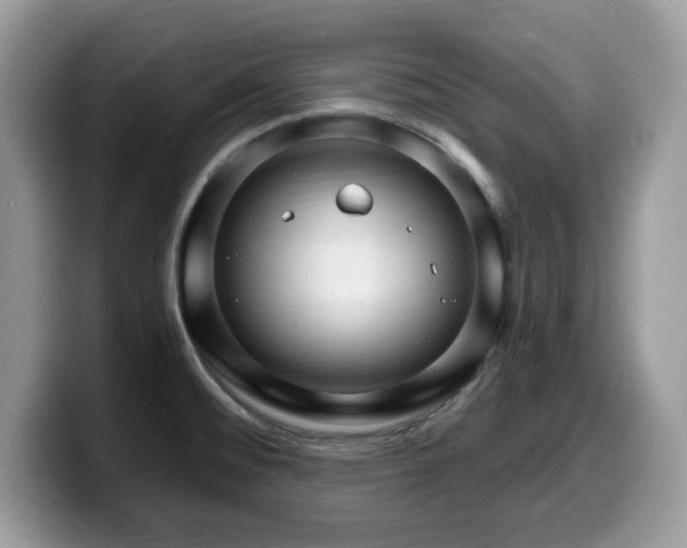 X0000099961476200805301304