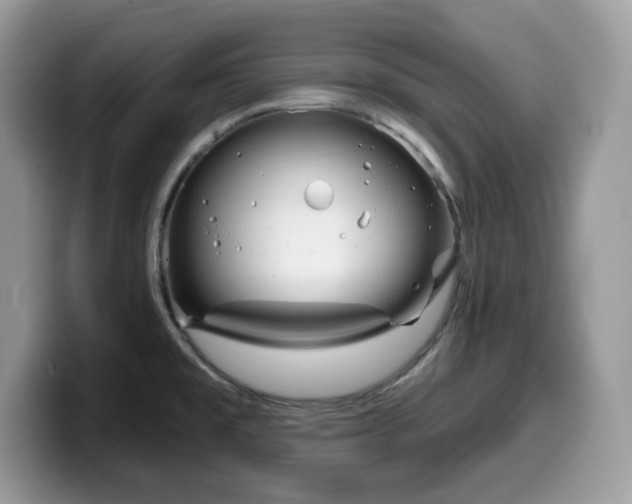 X0000099961477200805301304