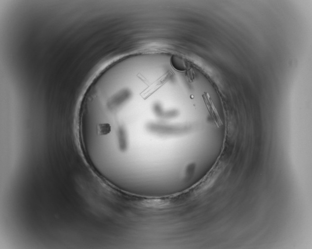 X0000099961478200805301304