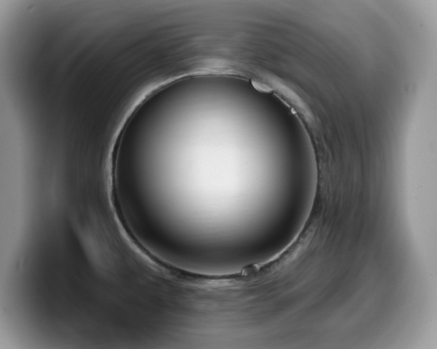 X0000099961479200805301304