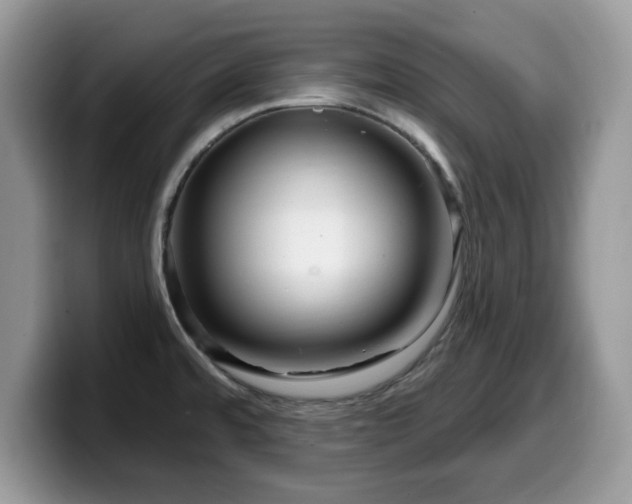 X0000099961480200805301304