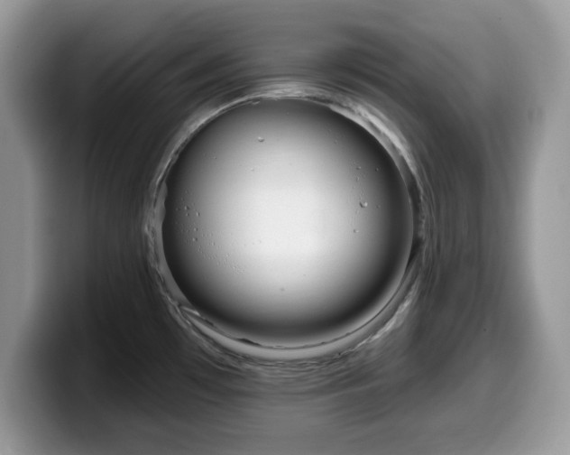 X0000099961481200805301304