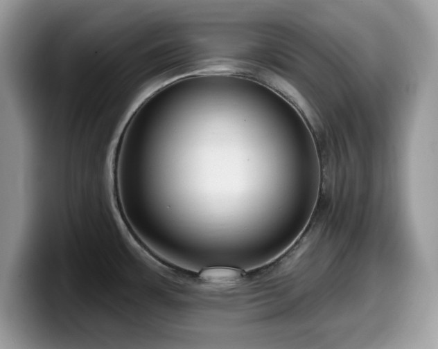 X0000099961483200805301304