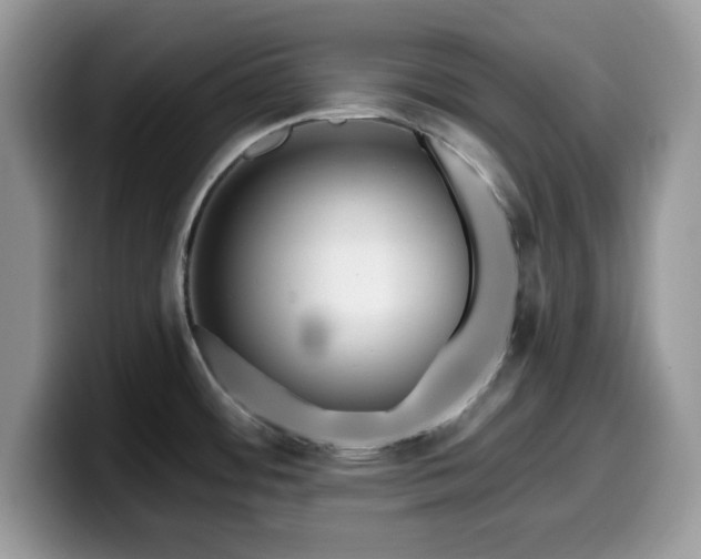 X0000099961484200805301304
