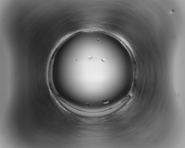 X0000099961485200805301304