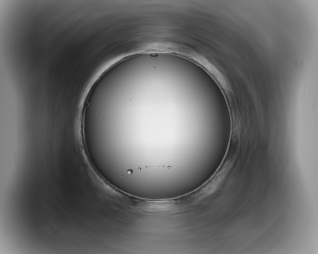 X0000099961486200805301304
