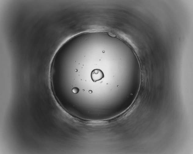 X0000099961487200805301304