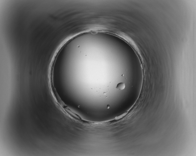 X0000099961488200805301304