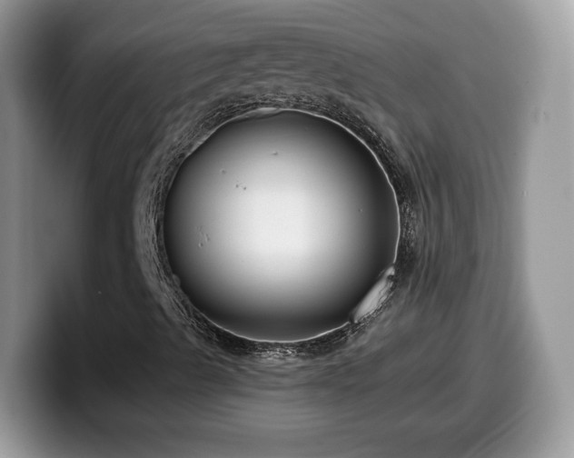 X0000099961489200805301303