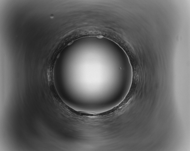 X0000099961490200805301303