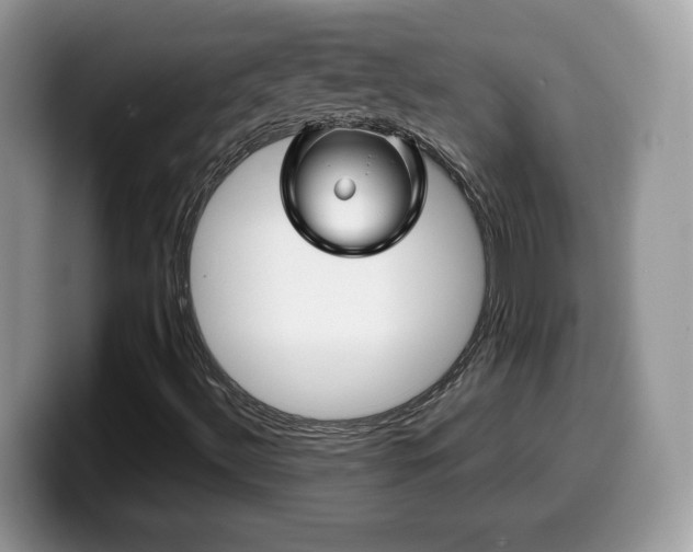 X0000099961492200805301303