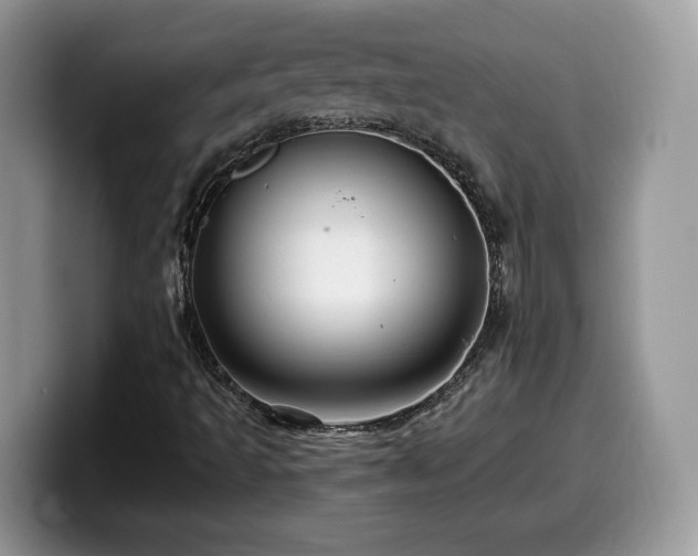 X0000099961493200805301303